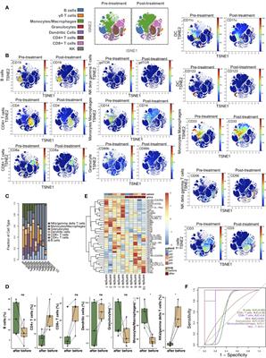 Single-Cell Profiling of Kidney Transplant Recipients With Immunosuppressive Treatment Reveals the Dynamic Immune Characteristics